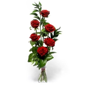 6 rose rosse